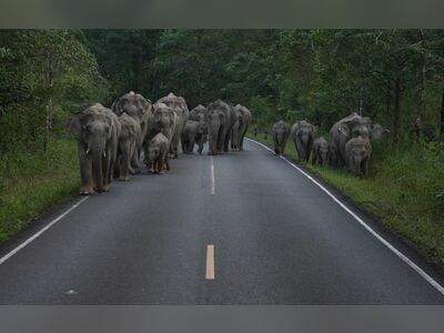 Khao Yai National Park