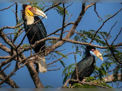 Khao Yai National Park