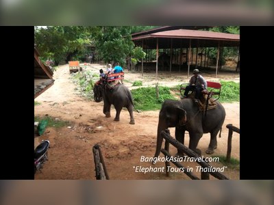 Sai Yok Elephant Village