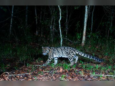 Khao Yai National Park