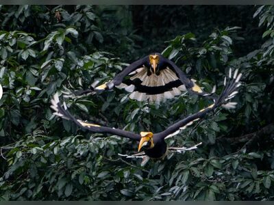 Khao Yai National Park