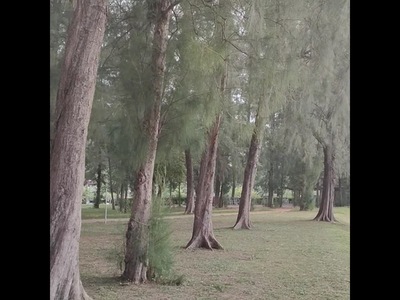หาดในหาน