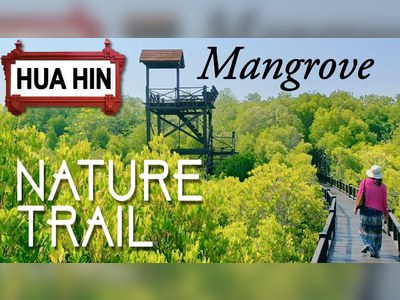 Walk through the Pranburi Forest Park Mangrove