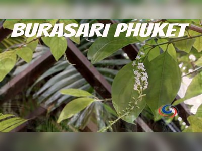 โรงแรมริทสุริน บูติค
