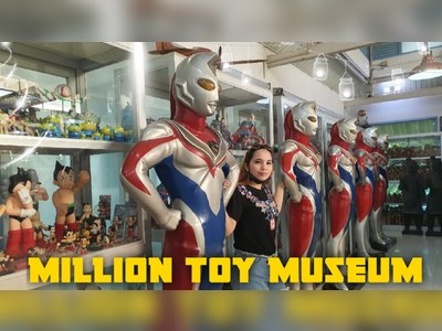 Million Toy Museum