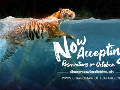 Chiang Mai Night Safari