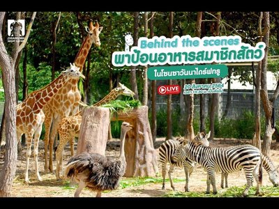 Chiang Mai Night Safari