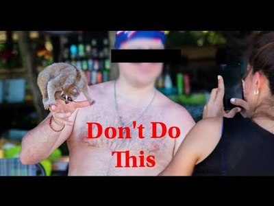 11 Things Not to Do in Phuket