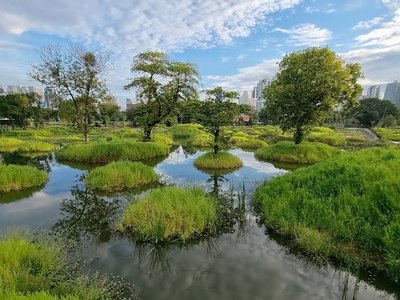 BENJAKITTI PARK