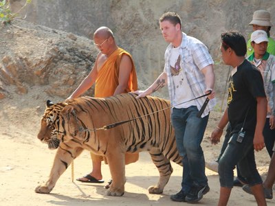 Tiger Temple (Wat Pa Luang Ta Bua)
