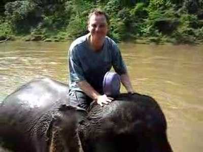 Trekking and Elephant Trekking