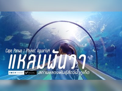 พิพิธภัณฑ์สัตว์น้ำภูเก็ต Phuket Aquarium