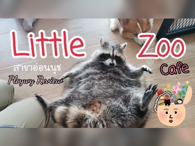 Little Zoo Café
