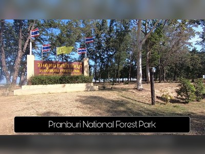Walk through the Pranburi Forest Park Mangrove