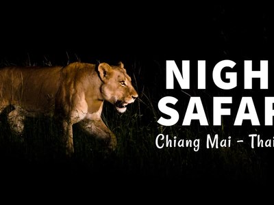 Chiang Mai Night Safari