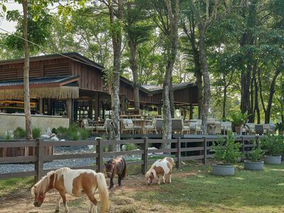 Trot Cafe