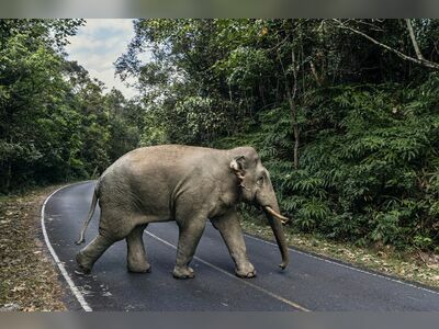 Khao Yai National Park