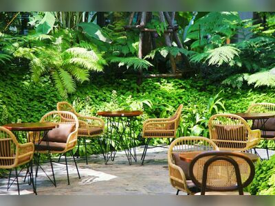 Timber Tales Cafe and Bistro Khaoyai
