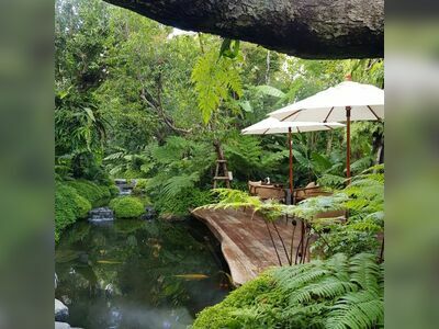 Timber Tales Cafe and Bistro Khaoyai
