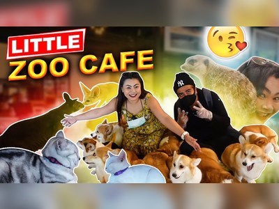 Little Zoo Café