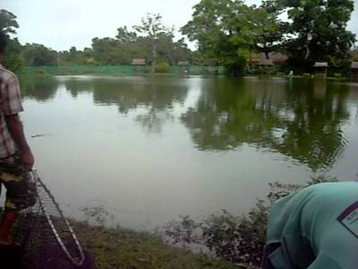 AC's Phuket Fishing Park