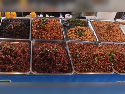 Eating Insects in Bangkok and Where to Find Them
