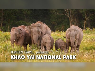 Khao Yai National Park
