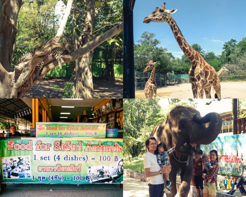 สวนสัตว์เปิดซาฟารีปาร์ค (กาญจนบุรี)