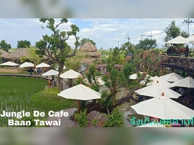 Jungle De Café