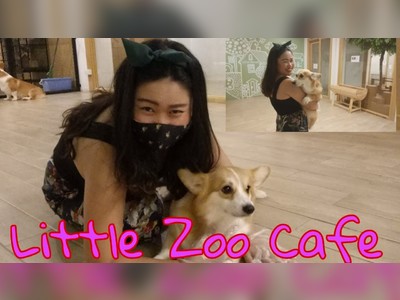 Little Zoo Café