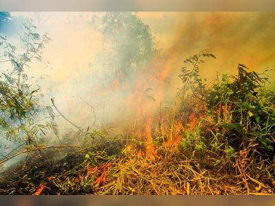 Burning Season In Chiang Mai - Everything You Need To Know