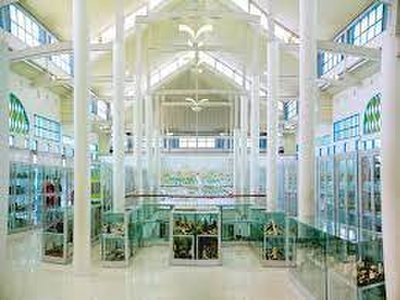 Million Toy Museum