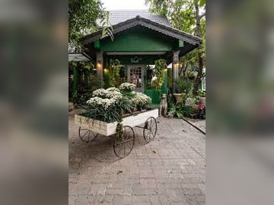The Verde