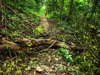 Ramkhamhaeng National Park (Khao Luang)