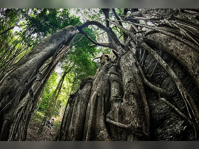 Ramkhamhaeng National Park (Khao Luang)