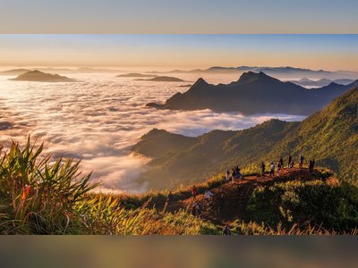 Phu Chi Fa Forest Park