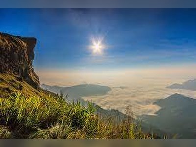 Phu Chi Fa Forest Park