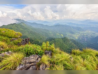 Phu Chi Fa Forest Park