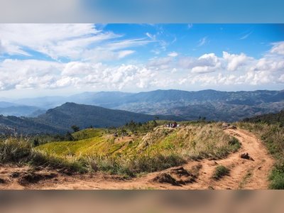 Phu Chi Fa Forest Park