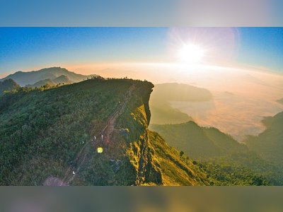 Phu Chi Fa Forest Park