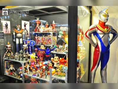 Batcat Museum & Toys
