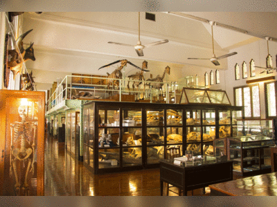 Museum of Siam