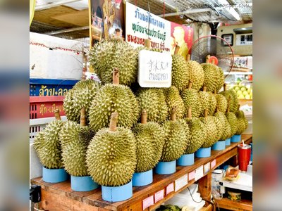 Or Tor Kor Market in Bangkok