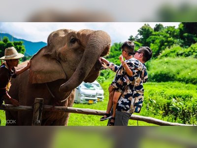 Trekking and Elephant Trekking