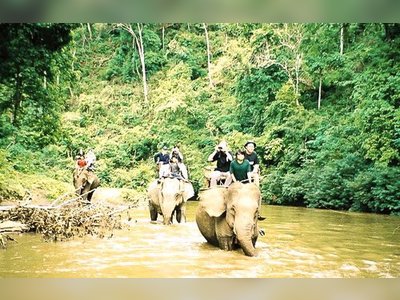 Trekking and Elephant Trekking