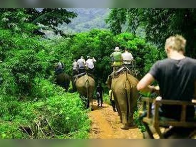 Trekking and Elephant Trekking