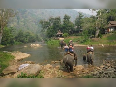 Trekking and Elephant Trekking