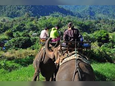 Trekking and Elephant Trekking