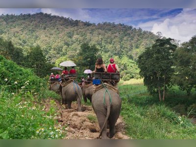 Trekking and Elephant Trekking