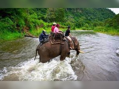 Trekking and Elephant Trekking